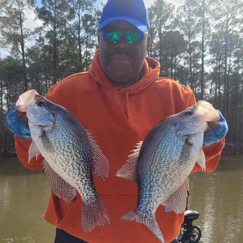 AHQ INSIDER Lake Greenwood (SC) 2023 Week 5 Fishing Report – Updated February 2