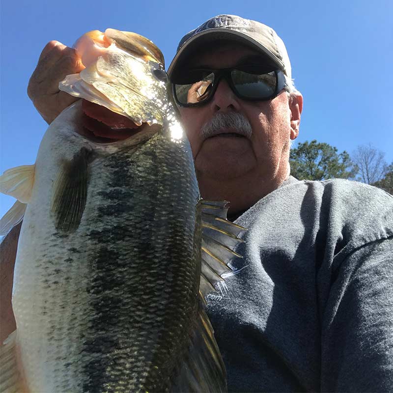 AHQ INSIDER Lake Greenwood (SC) Spring 2022 Fishing Report – Updated March 10