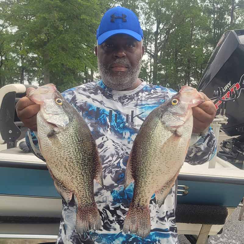 AHQ INSIDER Lake Greenwood (SC) 2023 Week 26 Fishing Report – Updated June 29