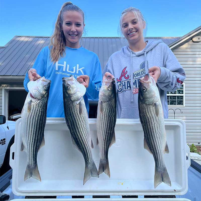 AHQ INSIDER Lake Greenwood (SC) 2022 Week 23 Fishing Report – Updated June 9