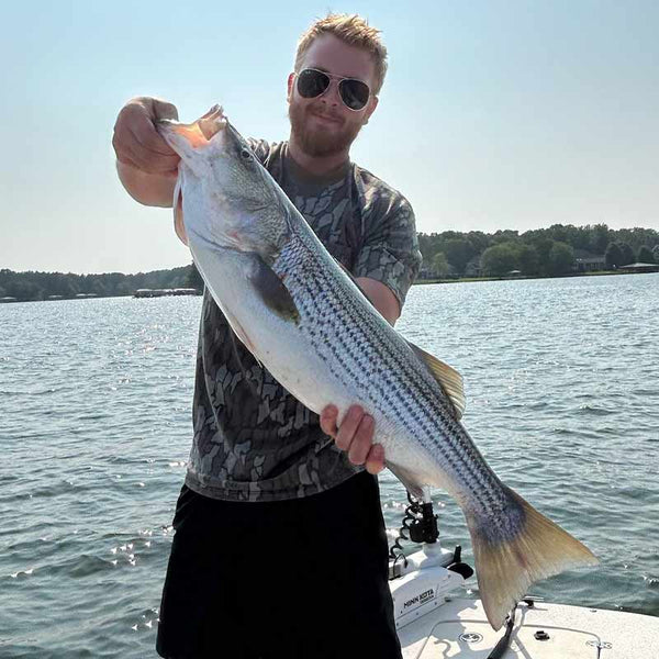 AHQ INSIDER Lake Greenwood (SC) 2023 Week 40 Fishing Report Updated