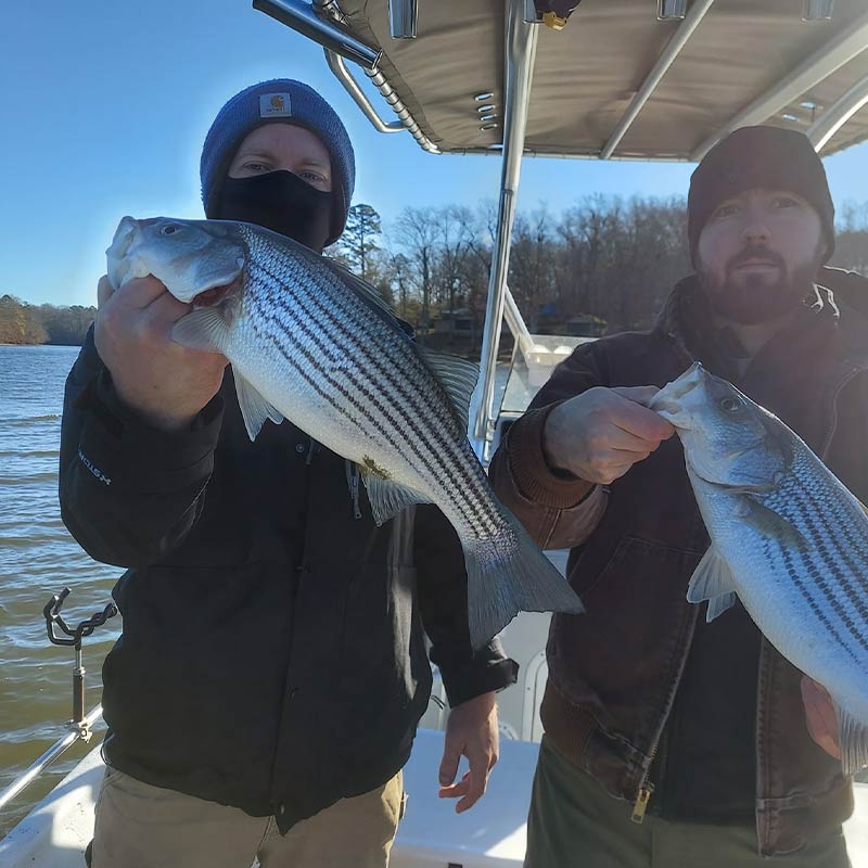 AHQ INSIDER Lake Greenwood (SC) Fall 2021 Fishing Report – Updated December 16