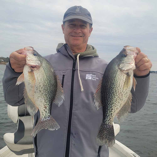 AHQ INSIDER Lake Greenwood (SC) 2024 Week 50 Fishing Report – Updated December 12