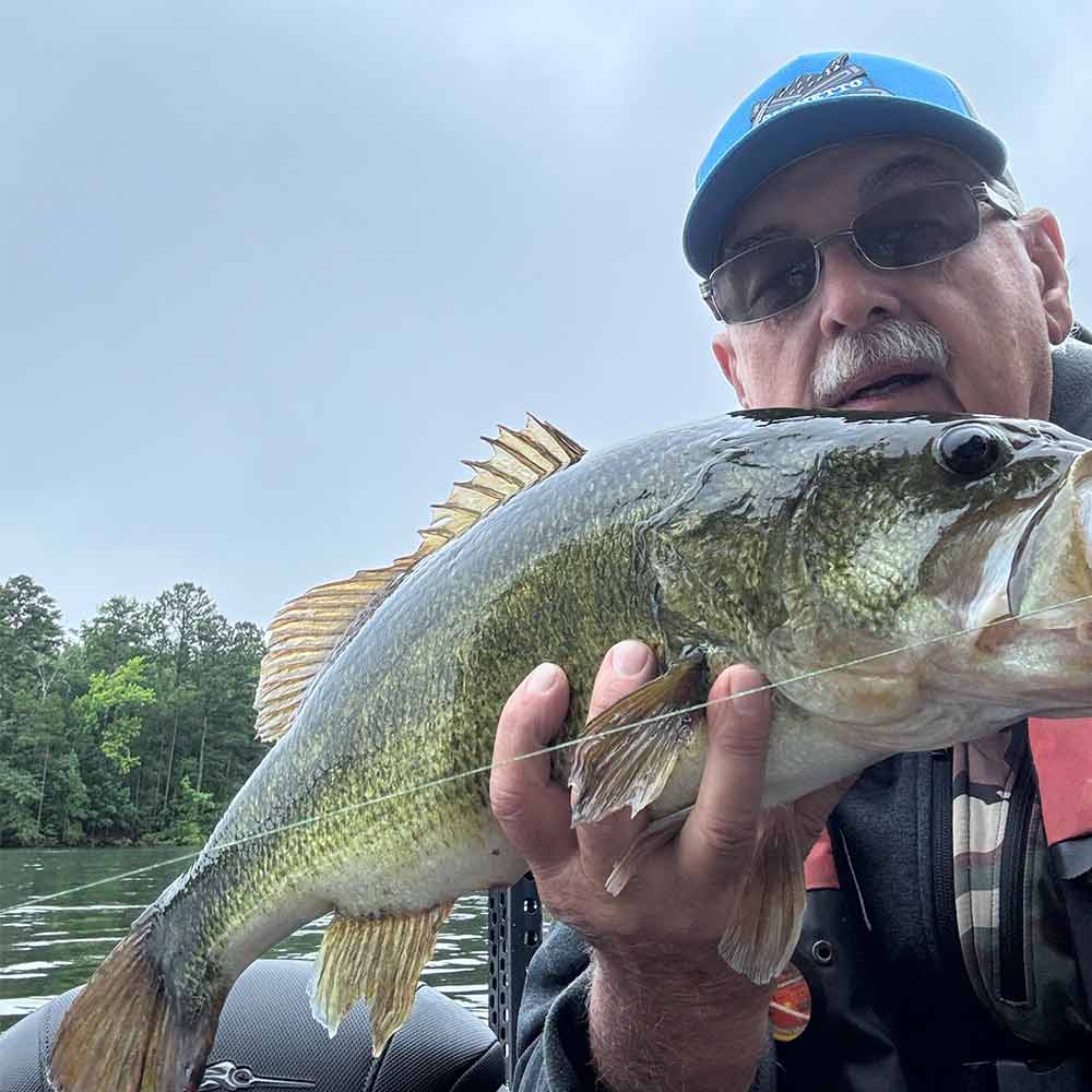 AHQ INSIDER Lake Greenwood (SC) 2025 Week 37 Fishing Report – Updated September 11