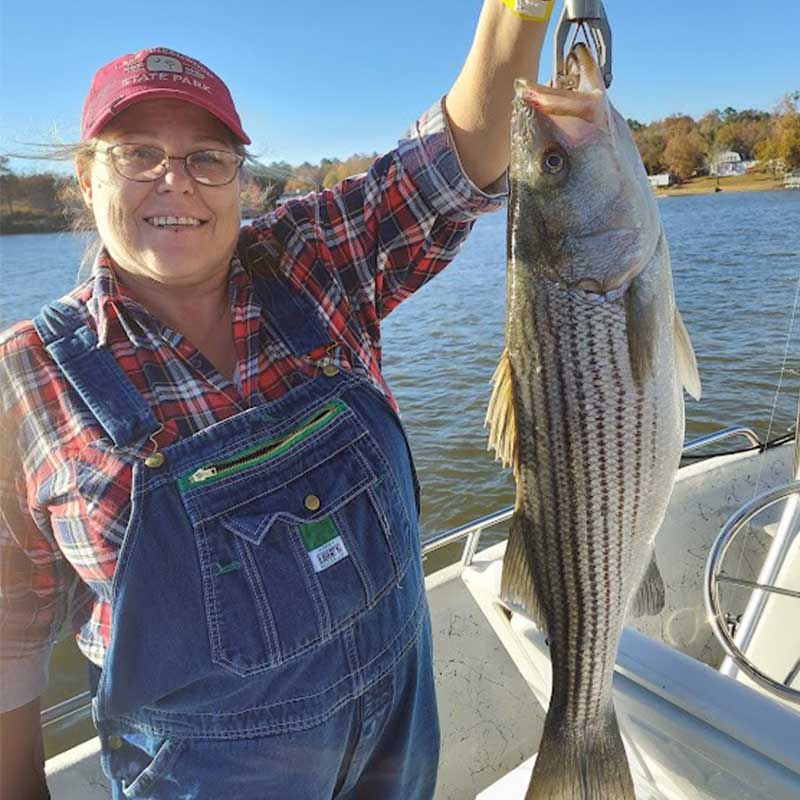 AHQ INSIDER Lake Greenwood (SC) Fall 2021 Fishing Report – Updated December 2