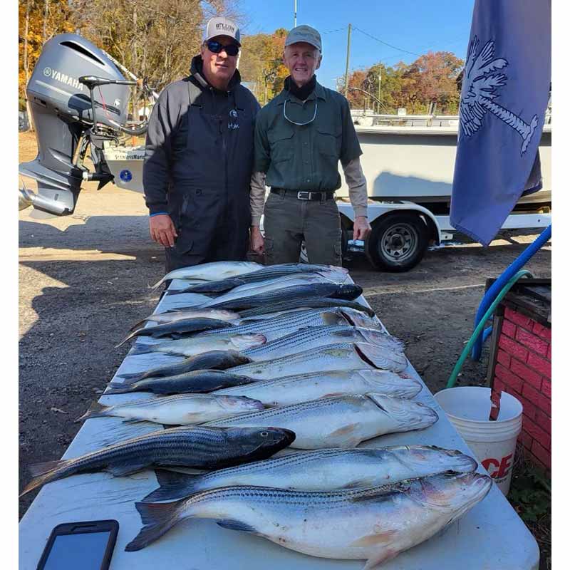 AHQ INSIDER Lake Greenwood (SC) 2023 Week 46 Fishing Report – Updated November 16
