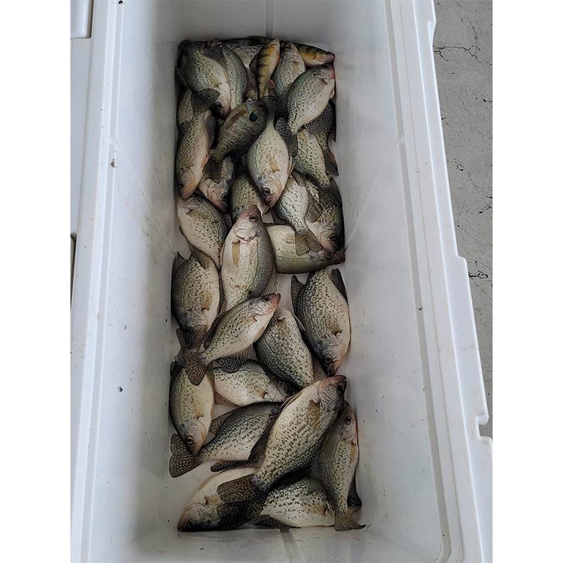 AHQ INSIDER Lake Greenwood (SC) Spring 2022 Fishing Report – Updated February 1