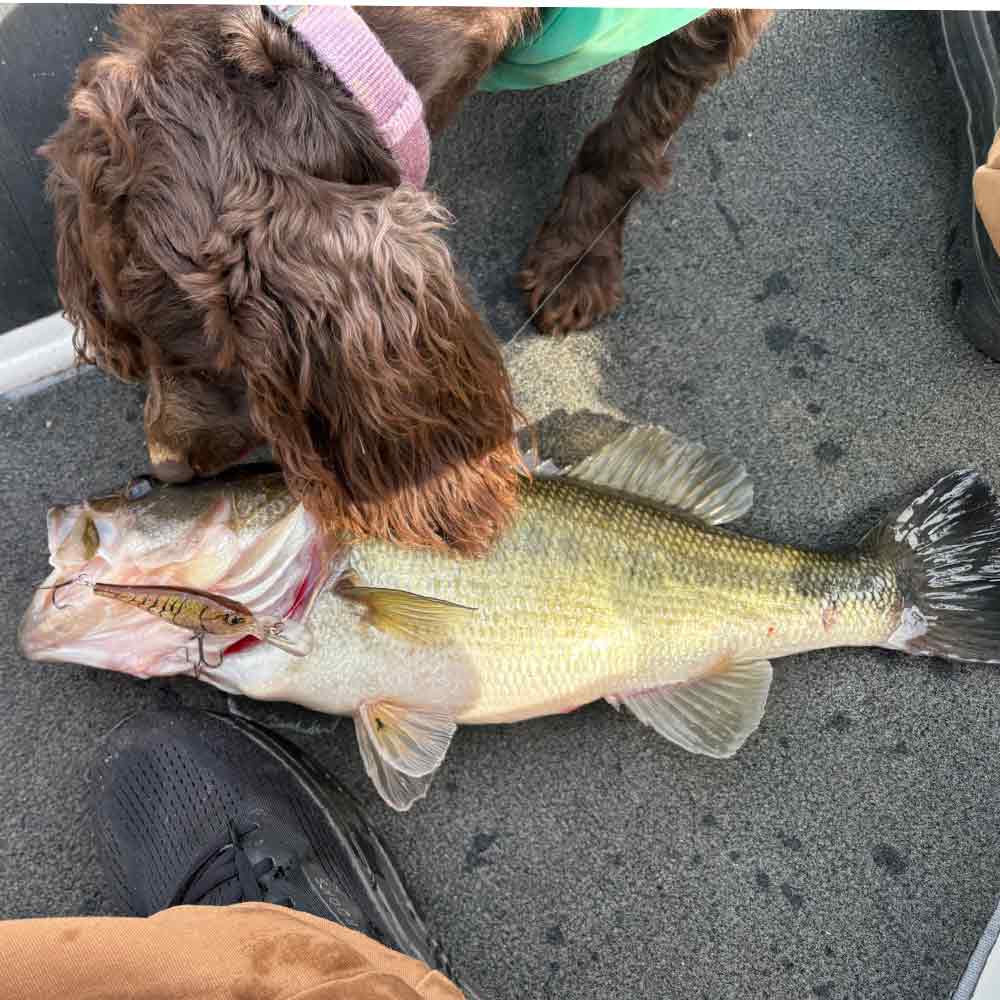 Seen this week on Stan Gunter's boat