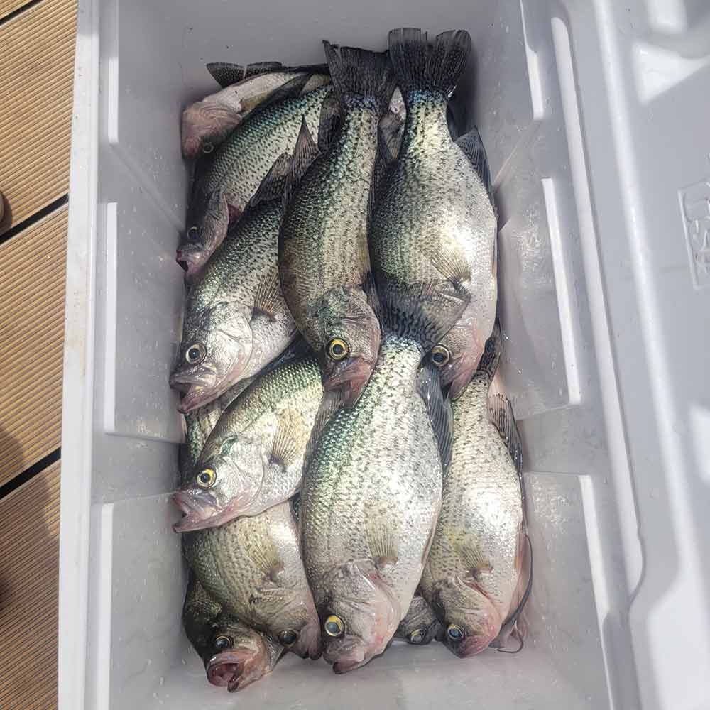 Captain Roland Addy working a little harder to fill coolers