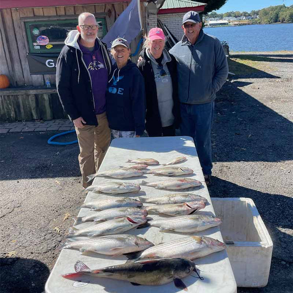 AHQ INSIDER Lake Greenwood (SC) 2023 Week 43 Fishing Report Updated