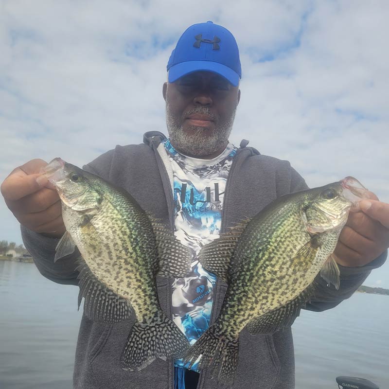 AHQ INSIDER Lake Greenwood (SC) 2023 Week 44 Fishing Report – Updated November 2