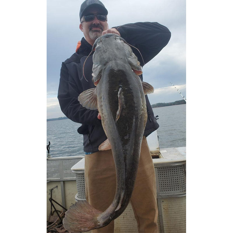 AHQ INSIDER Lake Greenwood (SC) Fall 2020 Fishing Report – Updated October 23