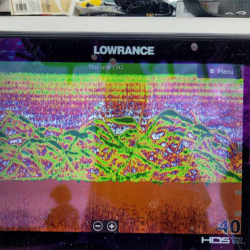 AHQ INSIDER Lake Greenwood (SC) 2022 Week 28 Fishing Report – Updated July 14