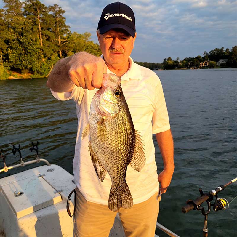 AHQ INSIDER Lake Greenwood (SC) 2022 Week 26 Fishing Report – Updated July 1