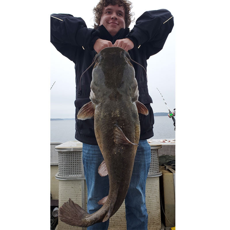 AHQ INSIDER Lake Greenwood (SC) Summer 2020 Fishing Report – Updated July 1