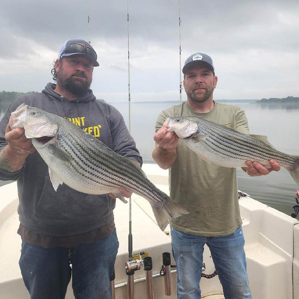 AHQ INSIDER Lake Greenwood (SC) 2023 Week 15 Fishing Report Updated