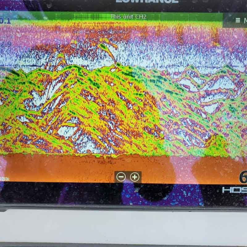 AHQ INSIDER Lake Greenwood (SC) 2022 Week 50 Fishing Report – Updated December 15