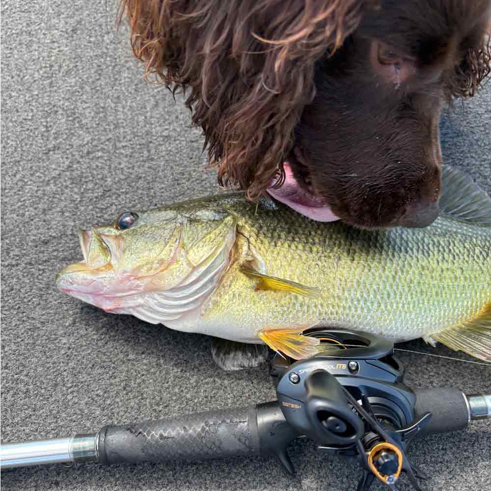 Stan's dog admires his catch