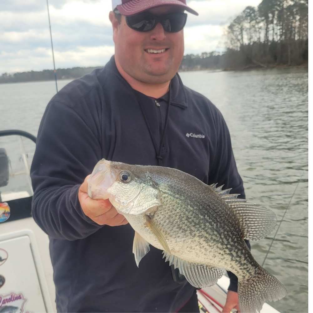 AHQ INSIDER Lake Greenwood (SC) 2026 Week 12 Fishing Report – Updated March 18