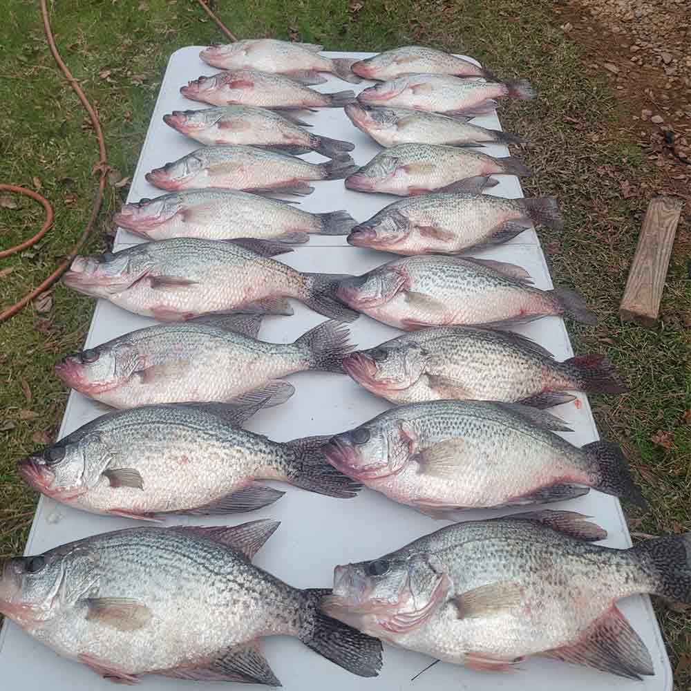 With Carolina Crappie Guide Service