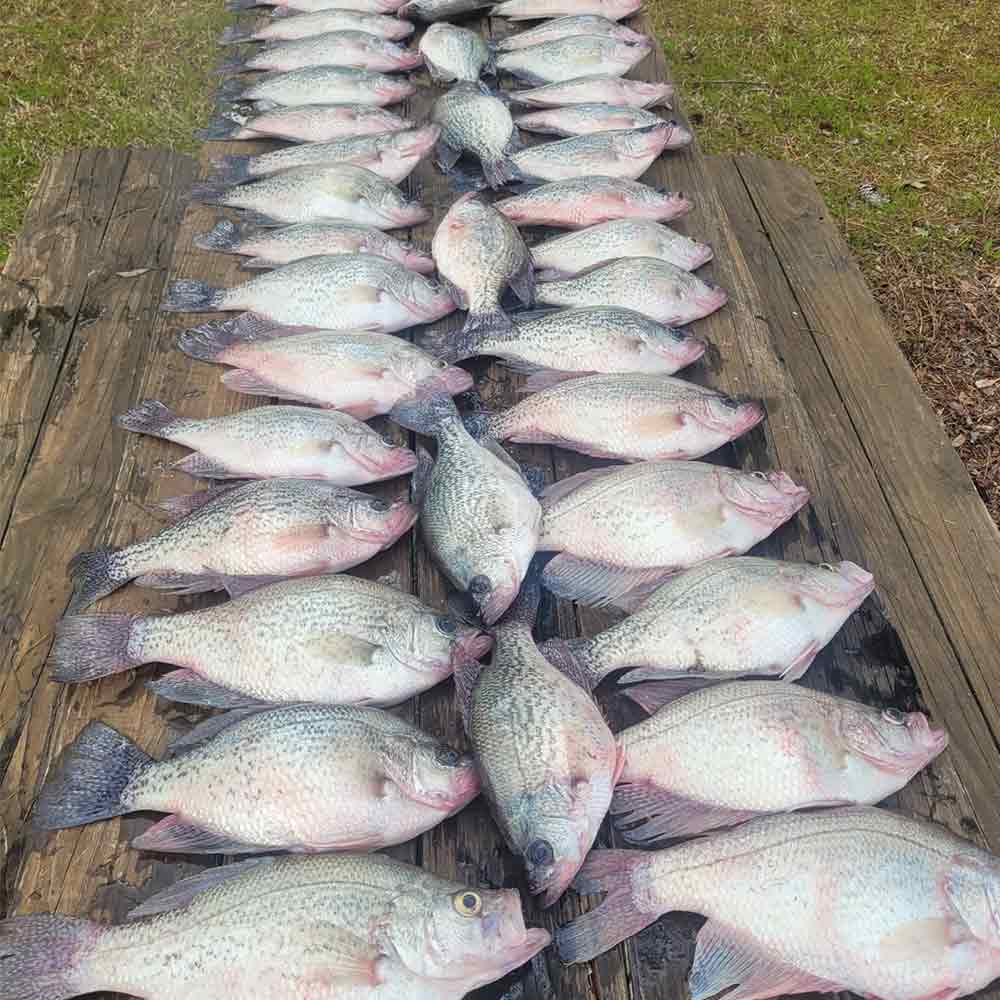 Could it get much better? - with Captain Roland Addy