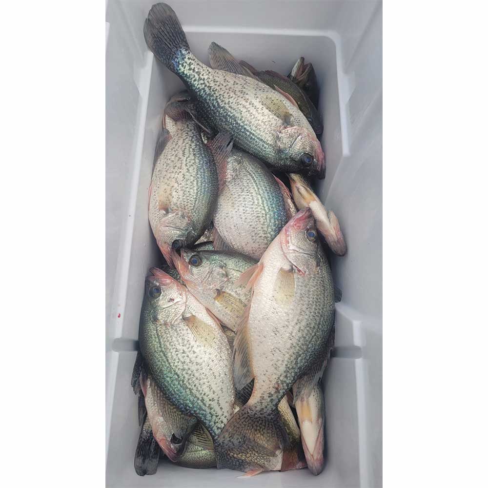 With Captain Roland Addy