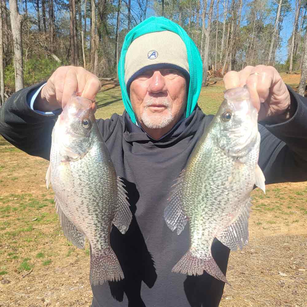 AHQ INSIDER Lake Greenwood (SC) 2026 Week 5 Fishing Report – Updated January 28