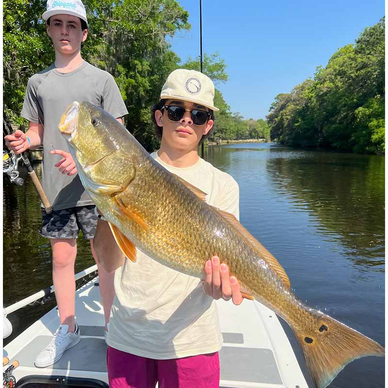 AHQ INSIDER Hilton Head Island (SC) 2024 Week 17 Fishing Report - Updated April 25