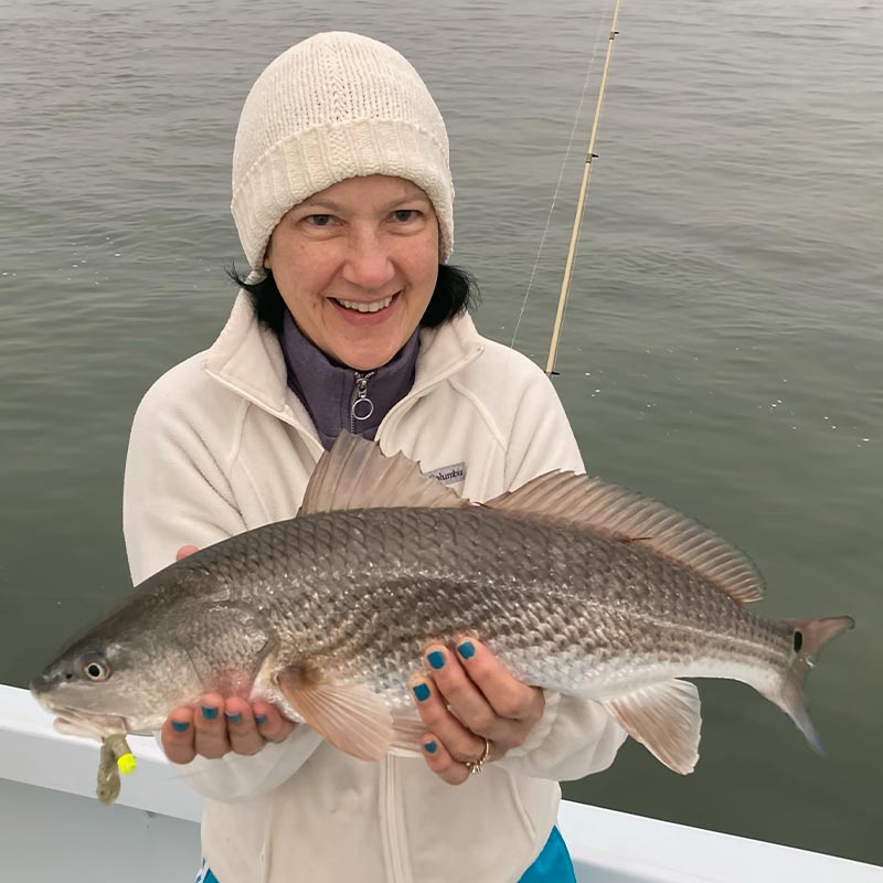 AHQ INSIDER Hilton Head Island (SC) 2023 Week 5 Fishing Report - Updated February 2