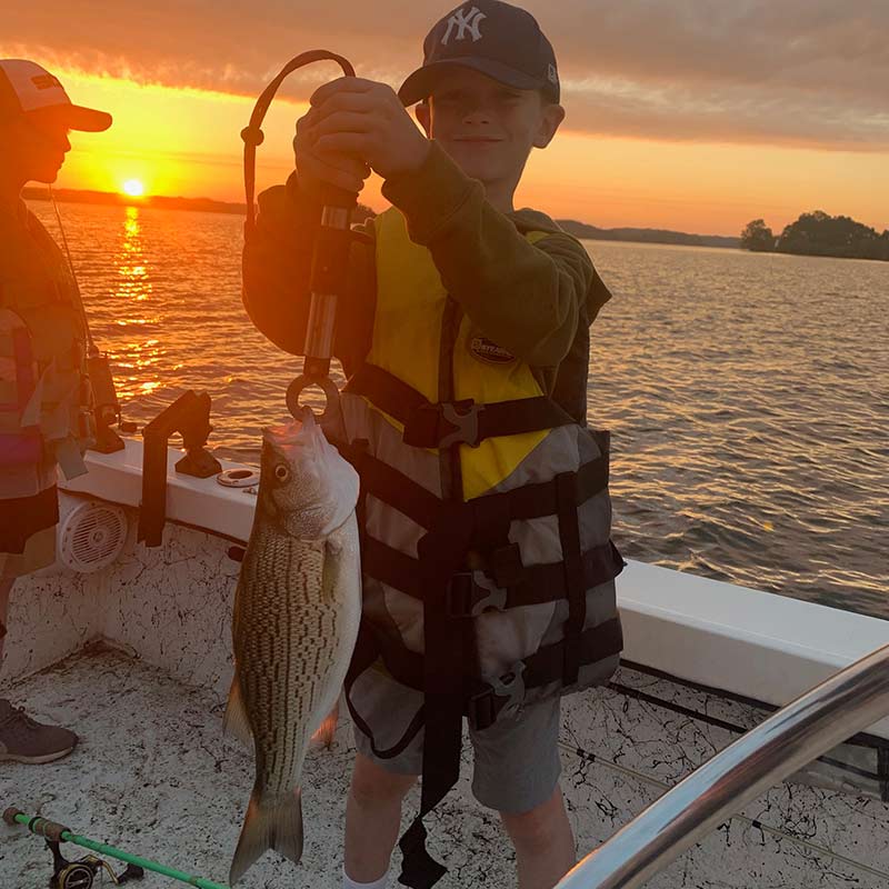 AHQ INSIDER Lake Hartwell (GA/SC) Fall 2021 Fishing Report – Updated November 4