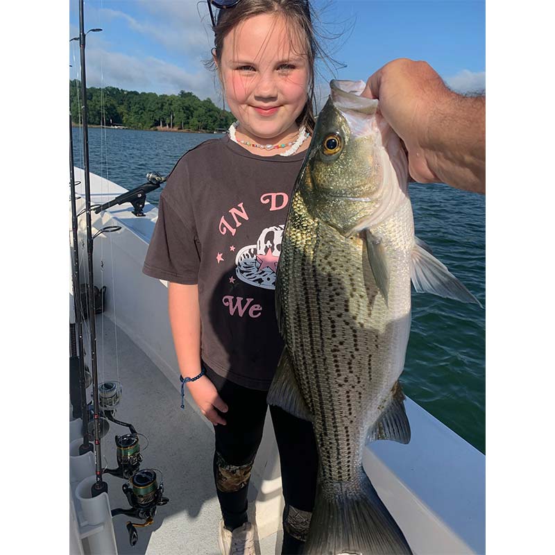 AHQ INSIDER Lake Hartwell (GA/SC) 2023 Week 25 Fishing Report – Updated June 22
