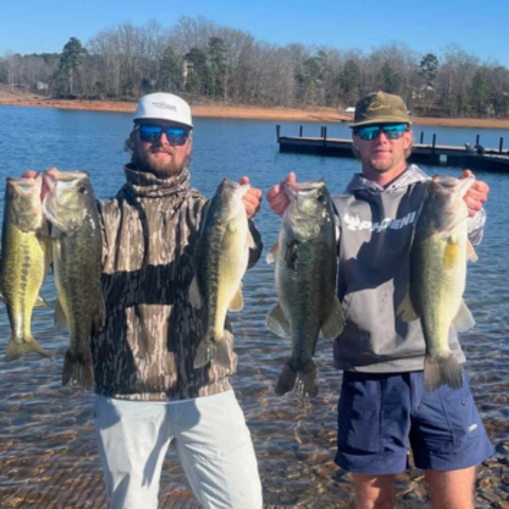 AHQ INSIDER Lake Hartwell (GA/SC) 2026 Week 11 Fishing Report – Updated March 12