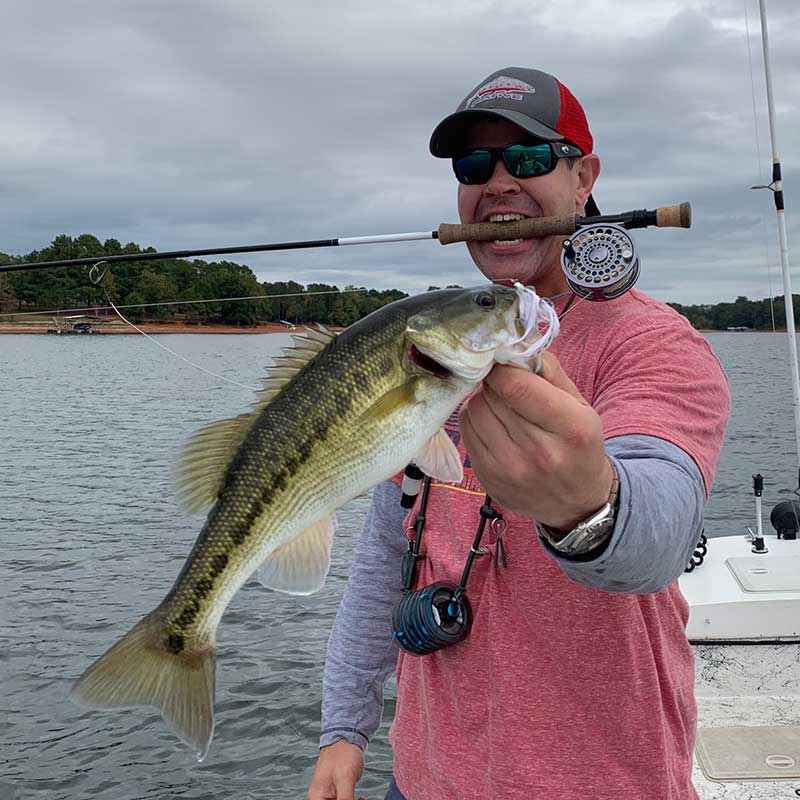 AHQ INSIDER Lake Hartwell (GA/SC) Spring 2021 Fishing Report – Updated February 5