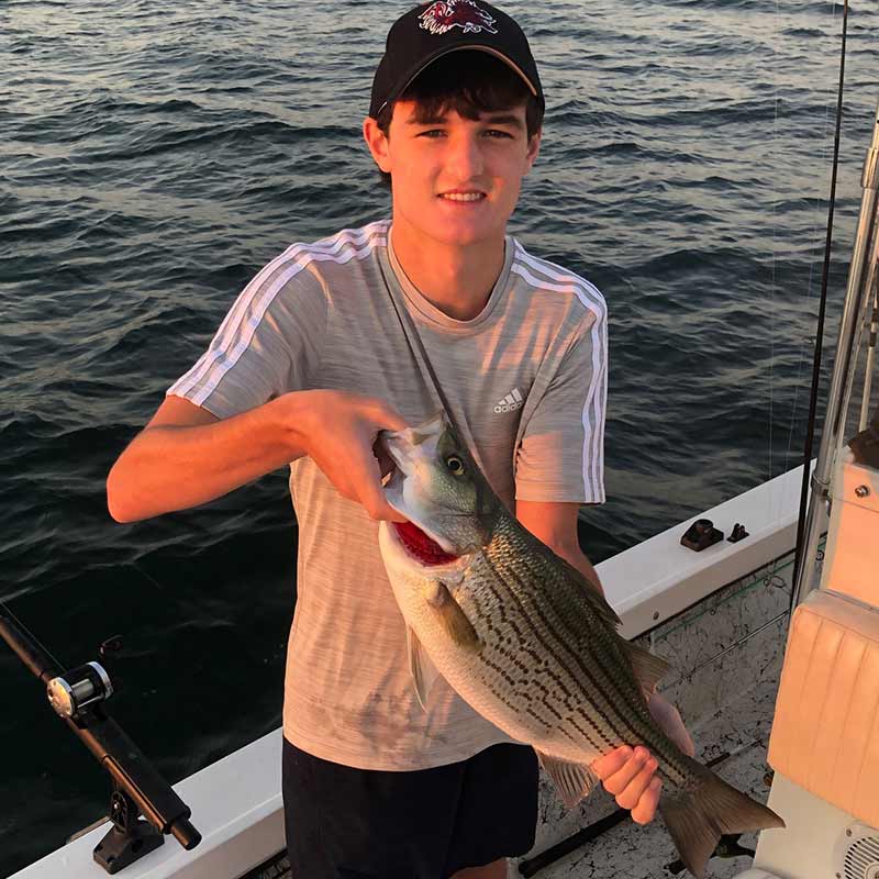 AHQ INSIDER Lake Hartwell (GA/SC) Summer 2021 Fishing Report – Updated August 6
