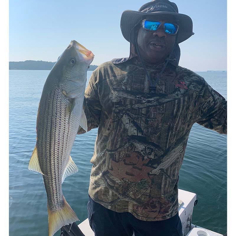 AHQ INSIDER Lake Hartwell (GA/SC) Fall 2021 Fishing Report – Updated September 16