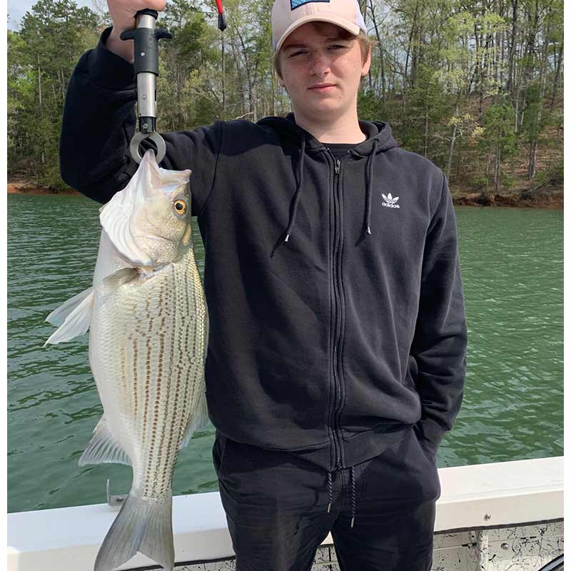 AHQ INSIDER Lake Hartwell (GA/SC) Spring 2020 Fishing Report – Updated April 15
