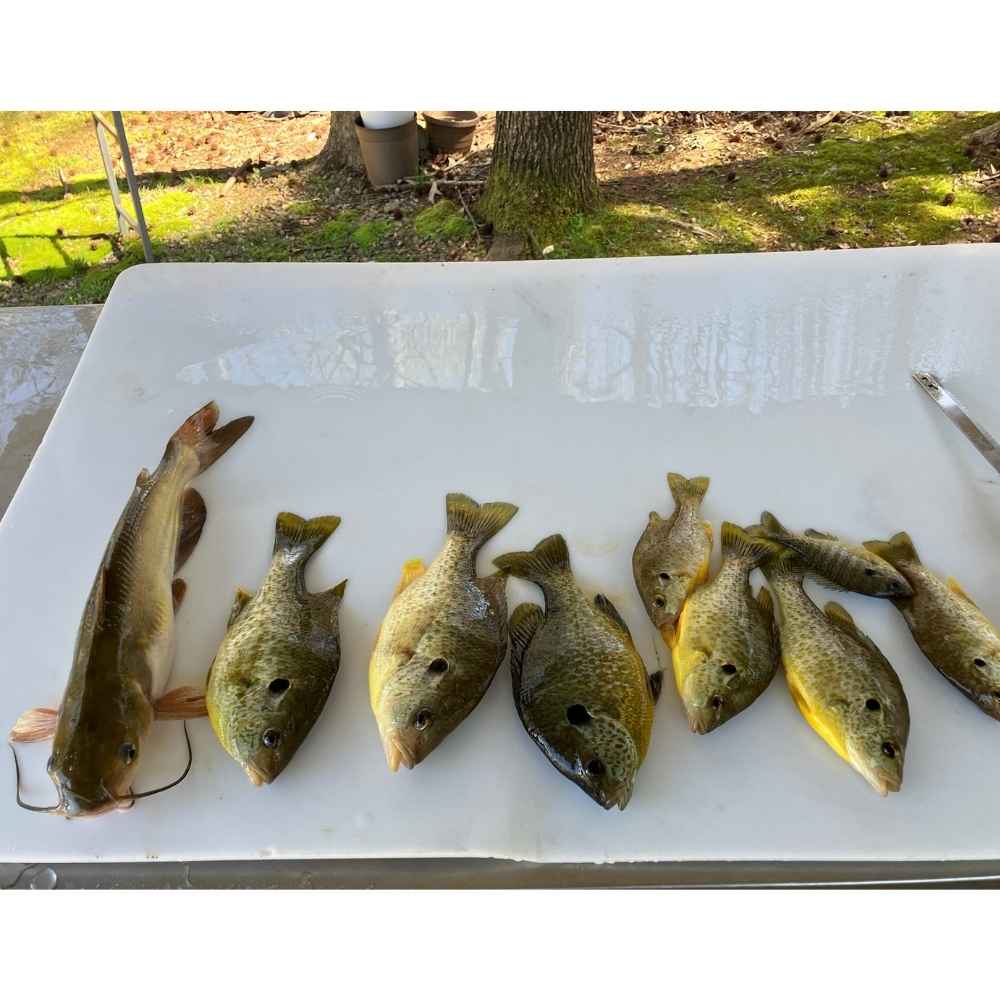 Tuesday with Captain Bill Plumley