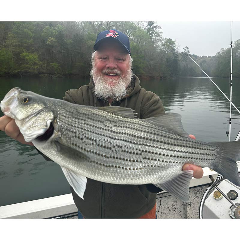 AHQ INSIDER Lake Hartwell (GA/SC) 2023 Week 15 Fishing Report – Updated April 10