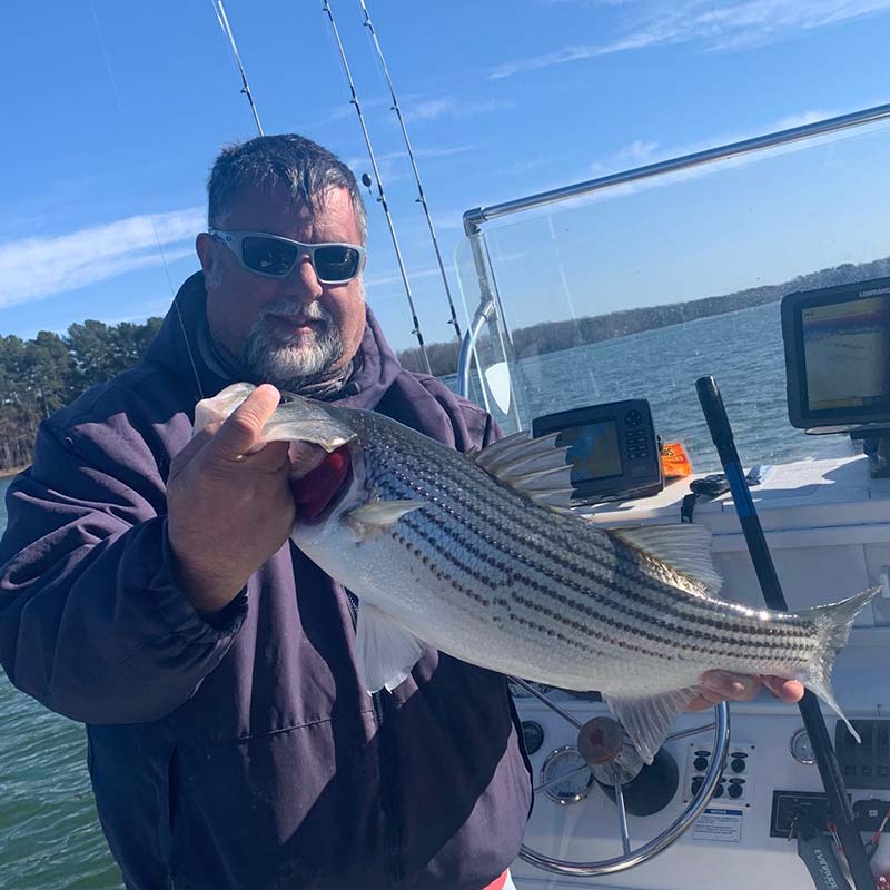 AHQ INSIDER Lake Hartwell (GA/SC) Spring 2021 Fishing Report – Updated March 5