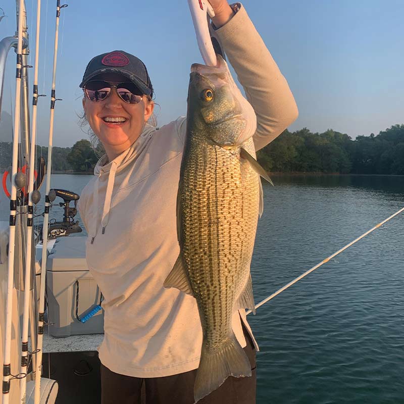 AHQ INSIDER Lake Hartwell (GA/SC) 2023 Week 23 Fishing Report – Updated June 7