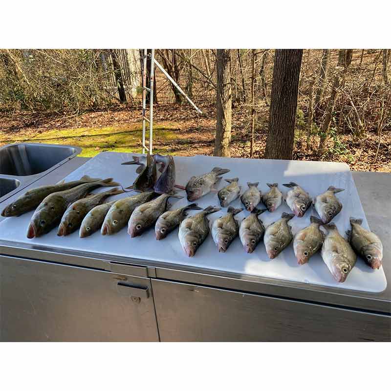 AHQ INSIDER Lake Hartwell (GA/SC) Spring 2022 Fishing Report – Updated February 10