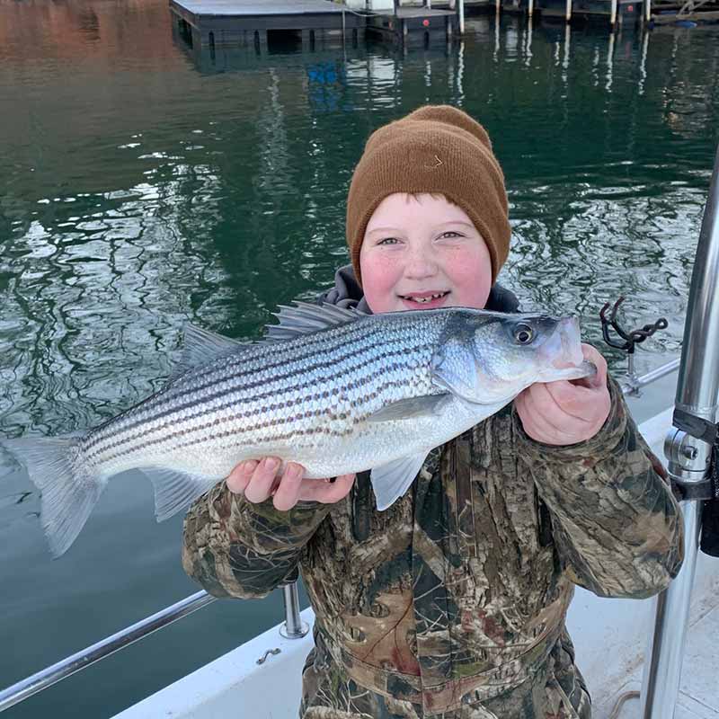 AHQ INSIDER Lake Hartwell (GA/SC) Spring 2021 Fishing Report – Updated February 18
