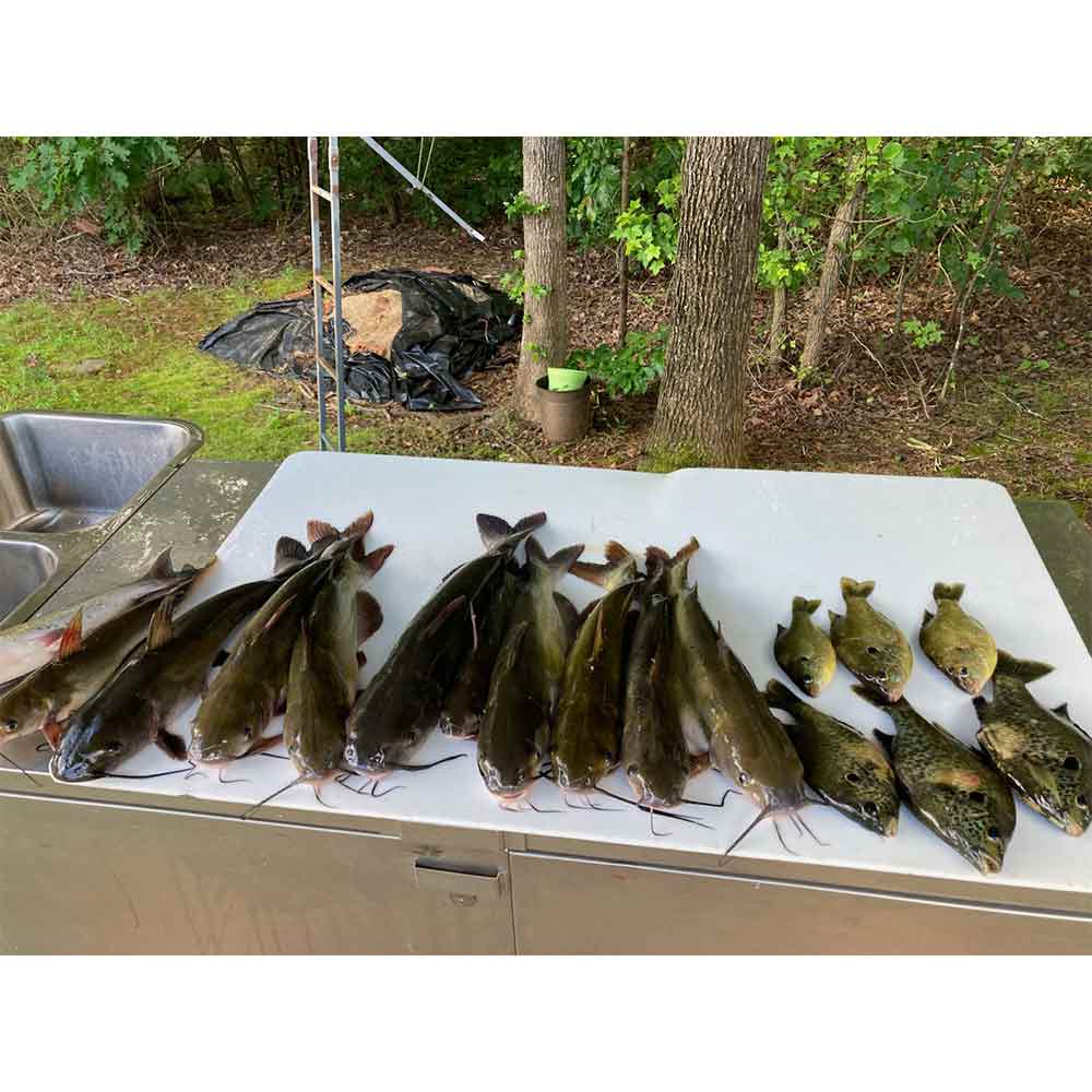 Caught yesterday with Captain Bill Plumley 