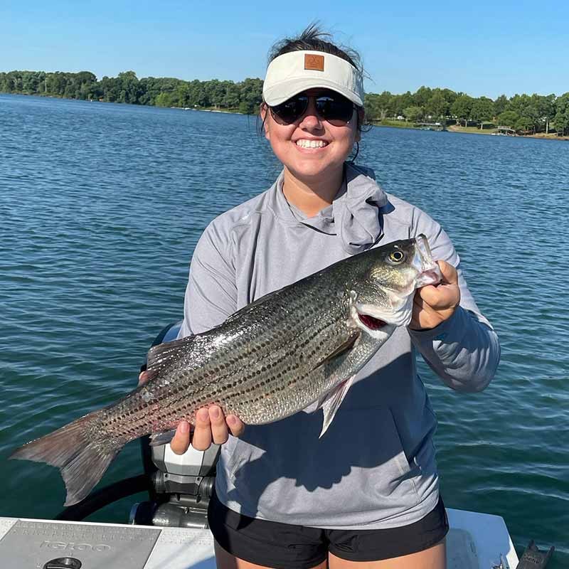 AHQ INSIDER Lake Hartwell (GA/SC) Summer 2021 Fishing Report – Updated July 8