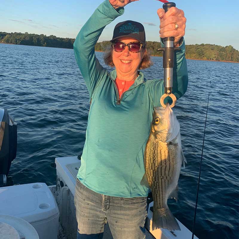 AHQ INSIDER Lake Hartwell (GA/SC) Fall 2021 Fishing Report – Updated September 30