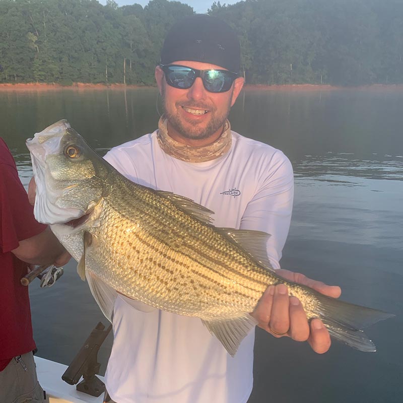 AHQ INSIDER Lake Hartwell (GA/SC) 2023 Week 31 Fishing Report – Updated August 3