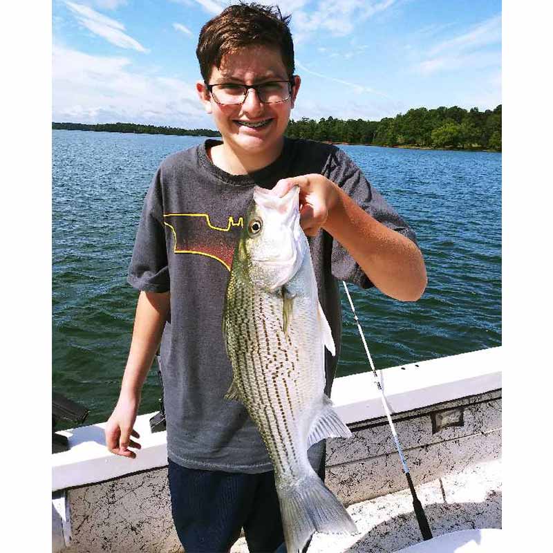 AHQ INSIDER Lake Hartwell (GA/SC) Summer 2020 Fishing Report – Updated June 25