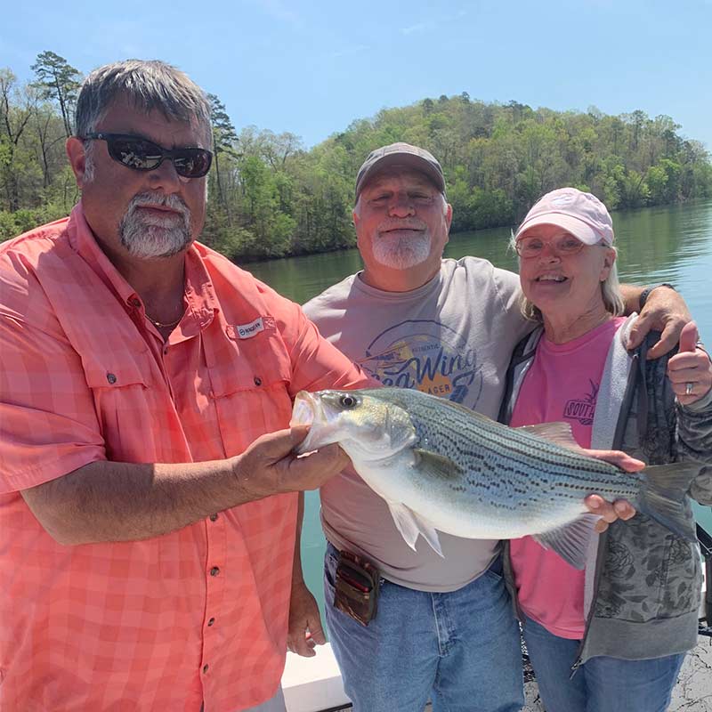 AHQ INSIDER Lake Hartwell (GA/SC) Spring 2021 Fishing Report – Updated April 16