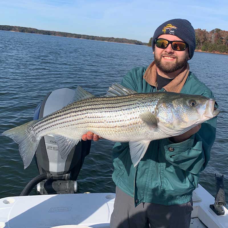 AHQ INSIDER Lake Hartwell (GA/SC) Fall 2021 Fishing Report – Updated December 15