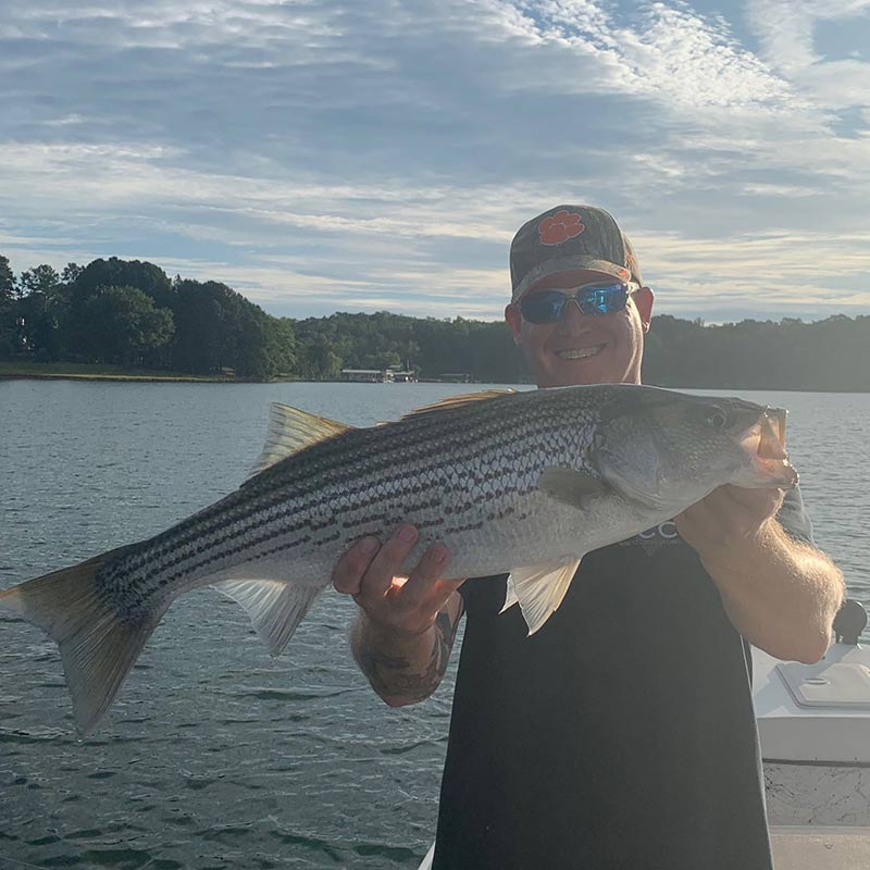 AHQ INSIDER Lake Hartwell (GA/SC) Fall 2020 Fishing Report – Updated September 14